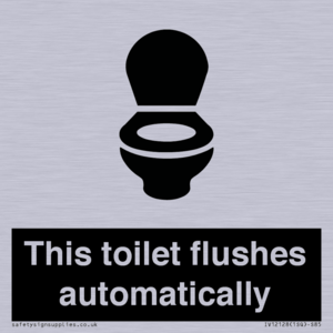 This toilet flushes automatically